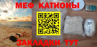индика Гатчина