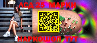 индика Гатчина