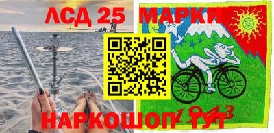 индика Гатчина