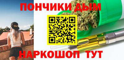 индика Гатчина