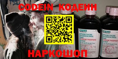 индика Гатчина