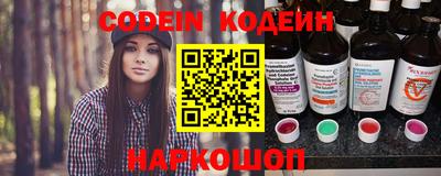 индика Гатчина