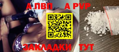 индика Гатчина