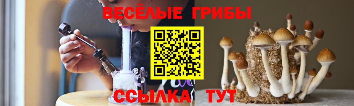 Псилоцибиновые грибы прущие грибы Белебей
